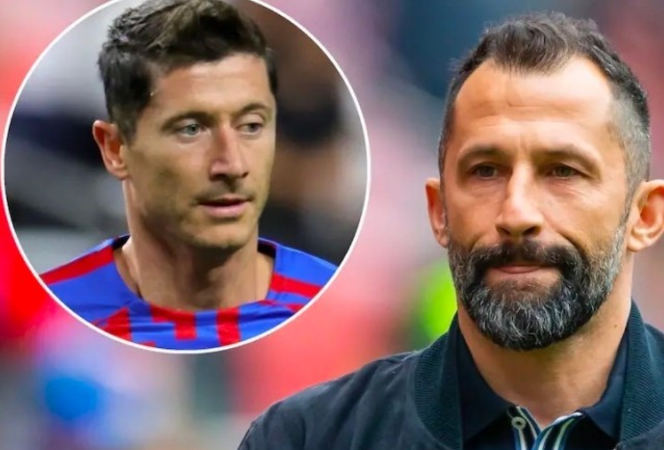 的一张亮丽 的一张亮丽