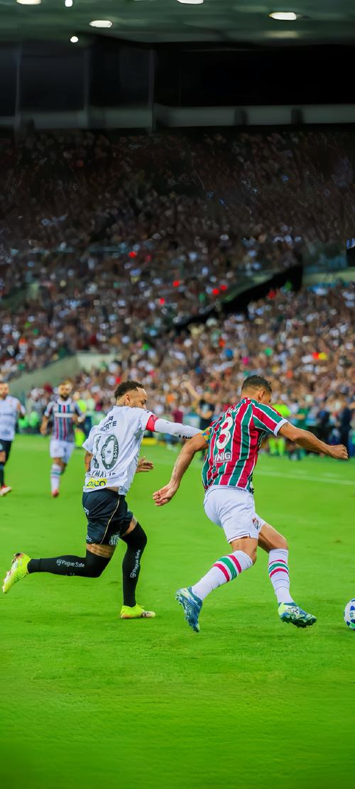 击中裁判 击中裁判